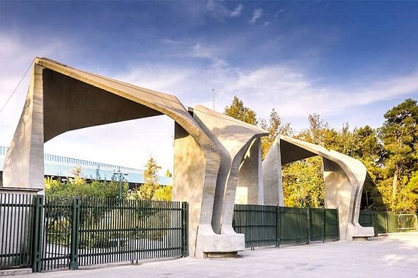 راهنمای جامع انتخاب بین دانشگاه‌های دولتی روزانه و شبانه
