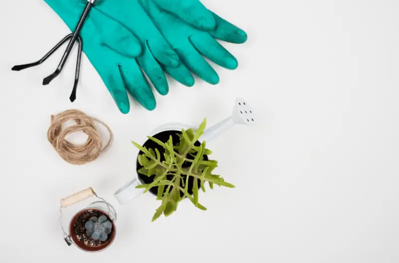 چه کسانی برای رشته زیست‌شناسی گیاهی مناسب‌اند