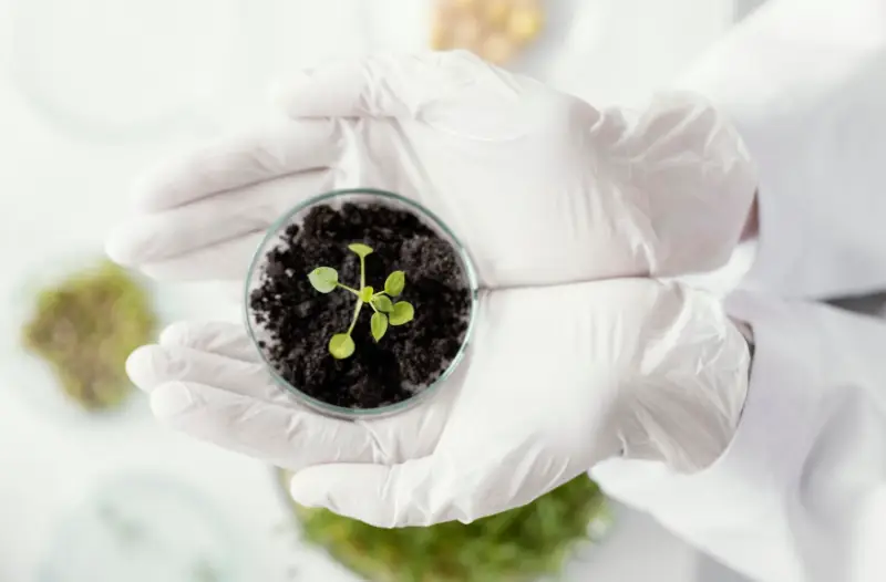 چرا زیست‌شناسی گیاهی برای کنکوری‌ها جذاب است